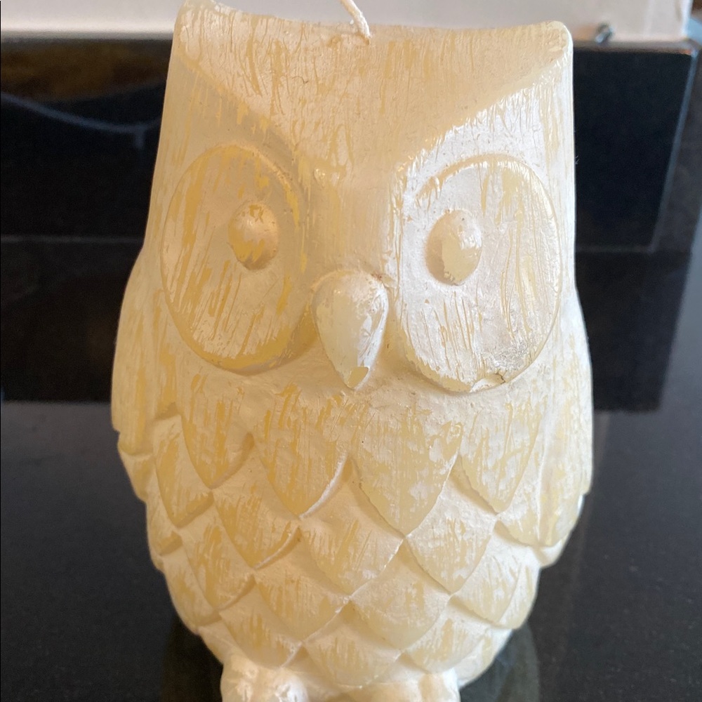 West elm Owl candle never lit